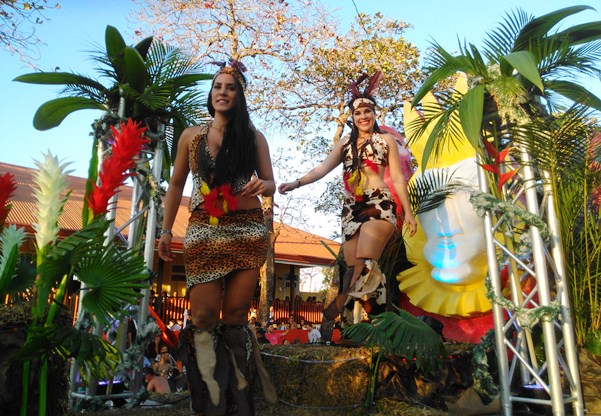 Carnaval 14 feb 2015 Mi Prensa IMG_20150214_171843