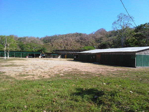Campo Ferial Paquera 24 mar 2016 IMG_20160318_150059
