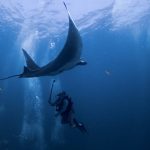 Pacífico Norte, Guanacaste: Instalan receptor de telemetría para monitorear especies marinas altamente migratorias