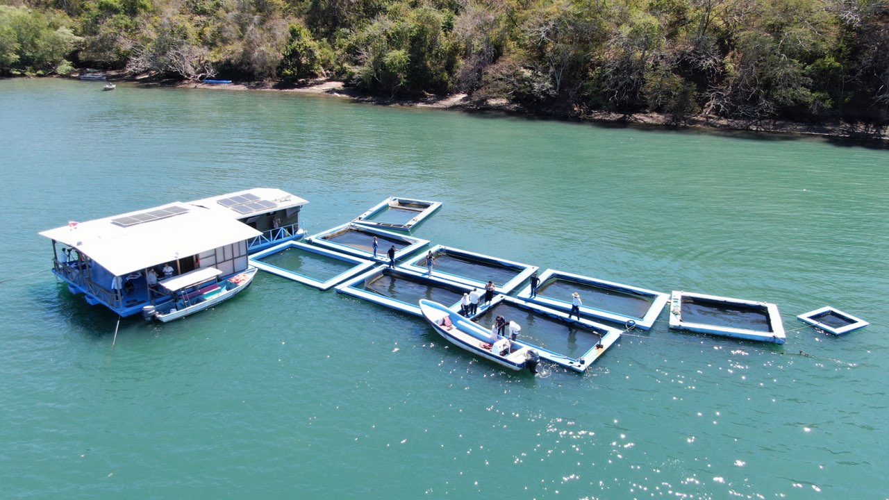 Brisas de la Bahía: RESTAURANTE Y GRANJAS FLOTANTES SE CONVIERTEN EN UNA ALTERNATIVA PARA LAS FAMILIAS QUE SE DEDICABAN A LA PESCA EN EL GOLFO DE NICOYA