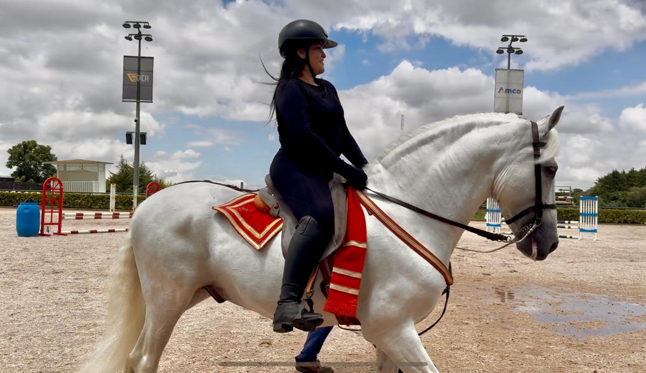 Hacienda Barvak: El lugar donde los caballos enseñan valores y bienestar