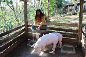Construir resiliencia hoy para tener seguridad alimentaria mañana en Centroamérica