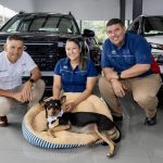 La Negra: La perrita callejera que encontró hogar, trabajo y familia en la sucursal de Hyundai Liberia