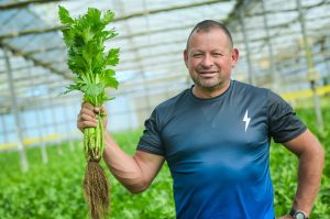 De la tierra a la mesa: Apio fresco con sabor a éxito