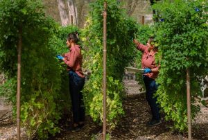 Reserva Conchal impulsa liderazgo y equidad como parte de su estrategia de sostenibilidad