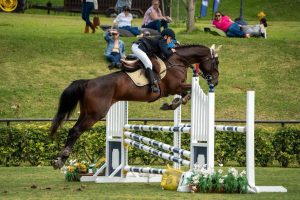 Deporte ecuestre tendrá competencias de salto y adiestramiento este mes de abril en Hacienda Barvak