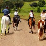 Hacienda Barvak abre sus puertas para acercar a más personas al mundo ecuestre