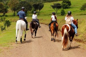 Hacienda Barvak abre sus puertas para acercar a más personas al mundo ecuestre